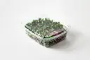 Redisi Red coral (3).webp