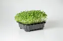 Click & Grow набор (стандарт)
