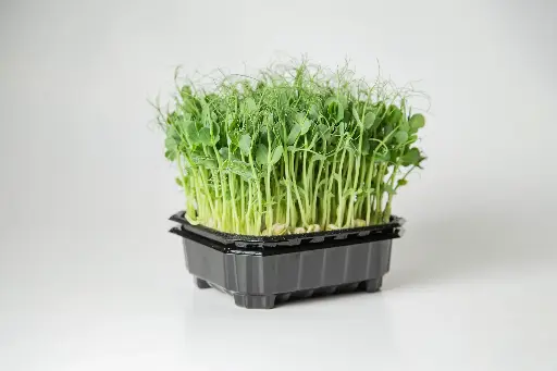 Peas